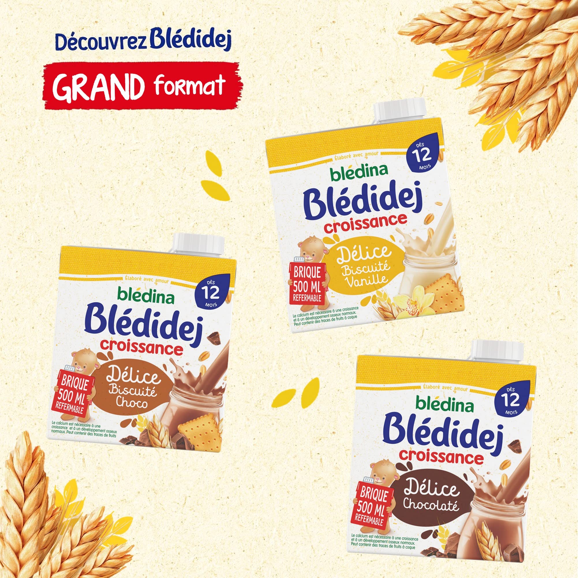 Blédina Blédidej Céréales Choco Biscuité 500ml pack de 6