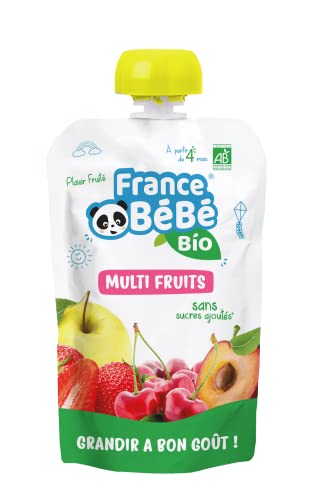 France Bébé Gourdes compote multi-fruits bio 12x100g dès 4 mois