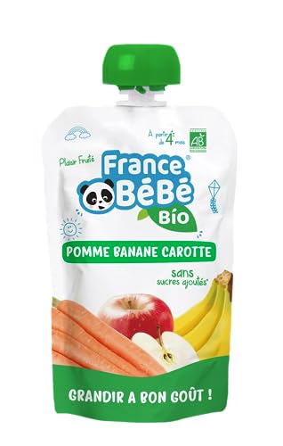 France Bébé Gourdes compote Pomme Banane Carotte 10x100g