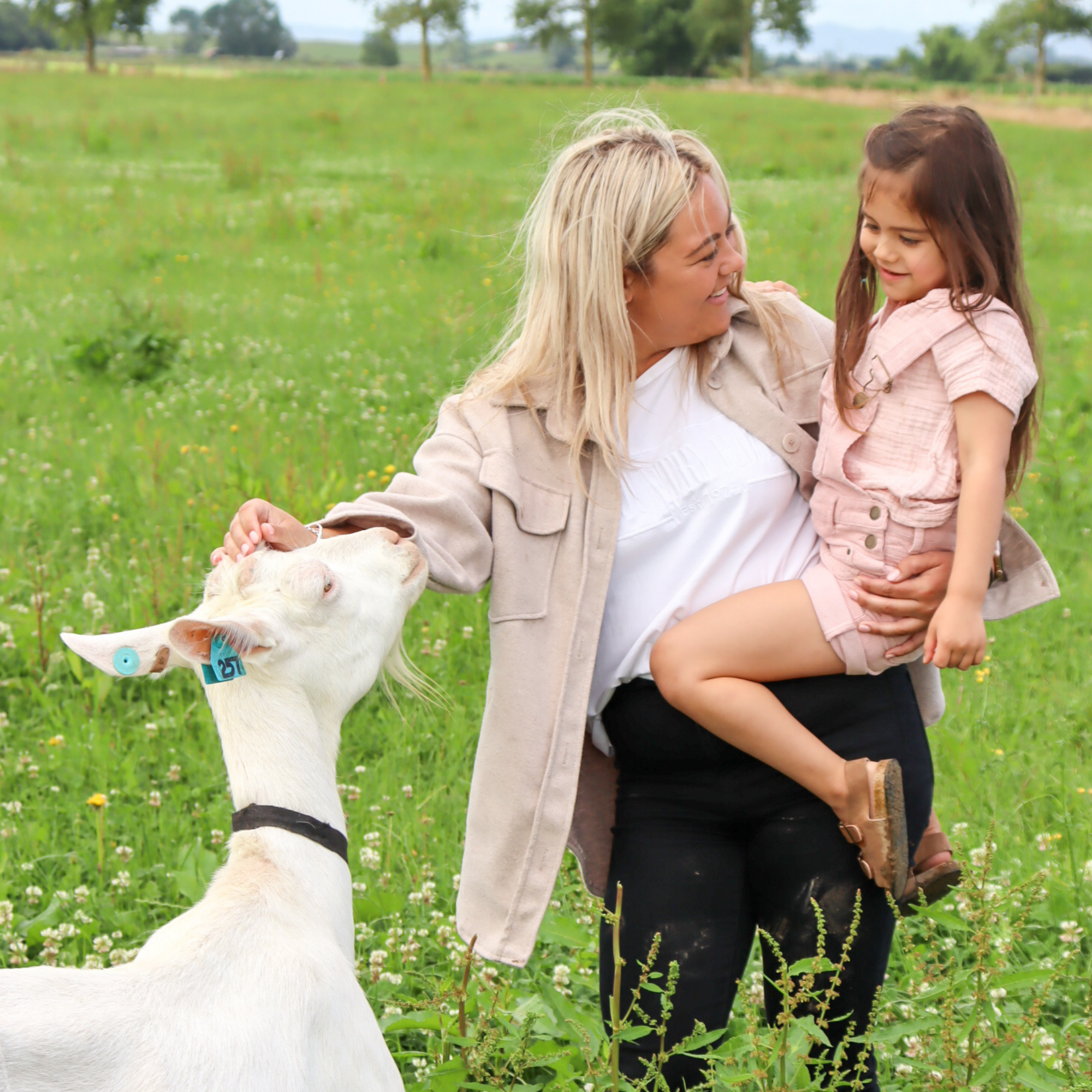 PediAct Capricare 3ème âge lait de croissance 800g