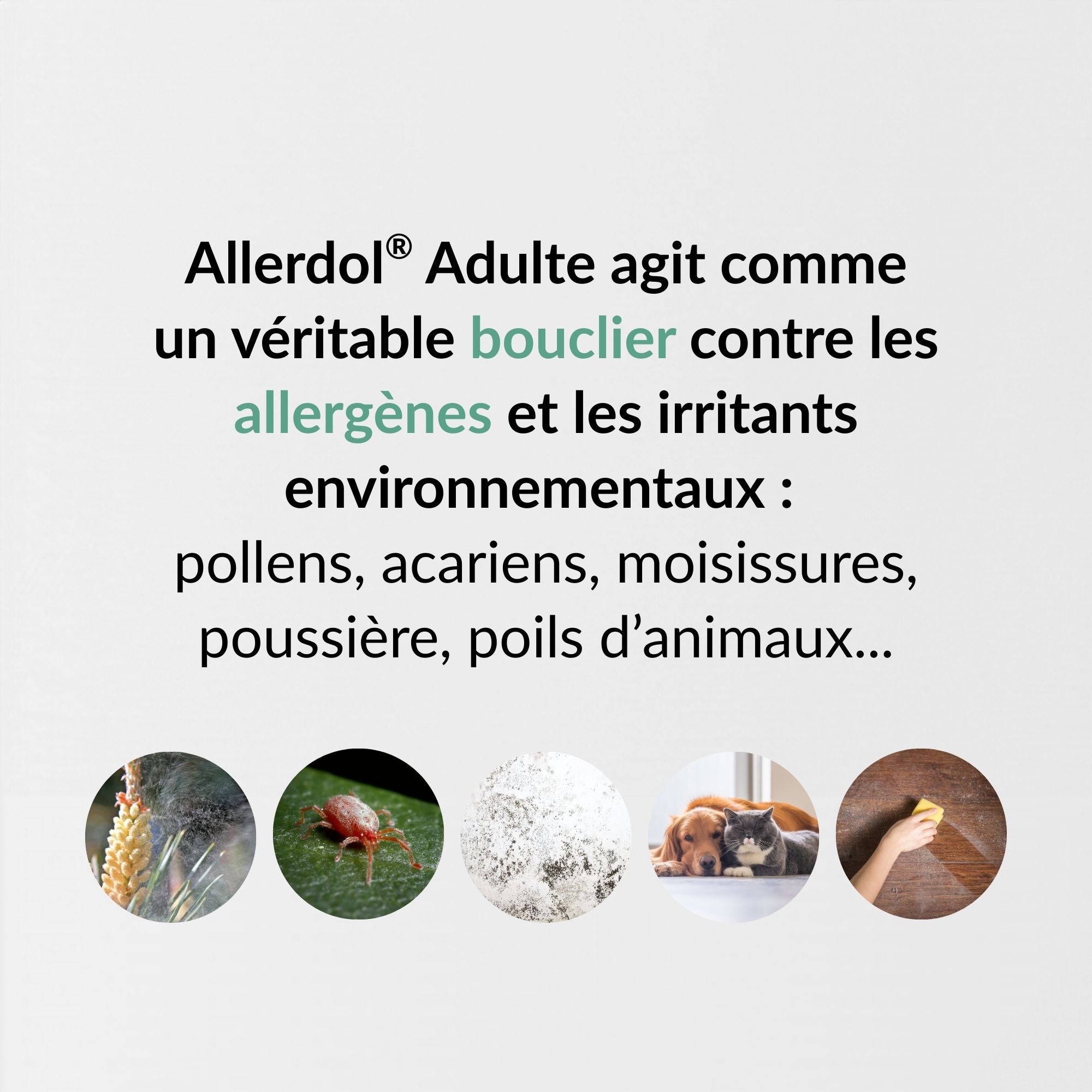 PediAct Allerdol Spray Adulte 15mL rhinite allergique