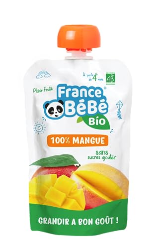 France Bébé Gourdes compote mangue bio 4 mois 10x100g