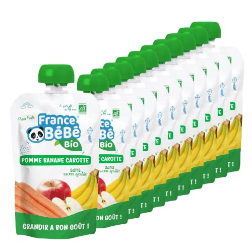 France Bébé Gourdes compote Pomme Banane Carotte 10x100g