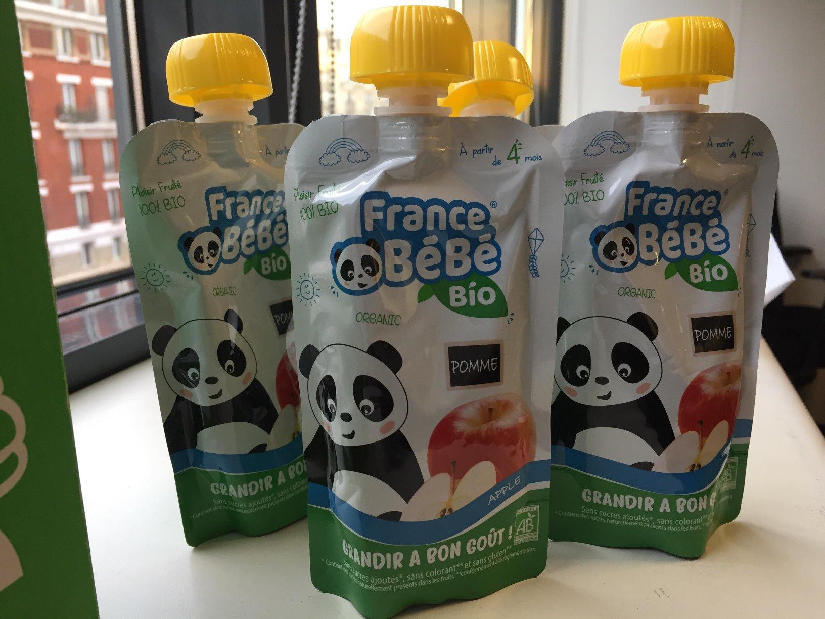 France Bébé Gourdes compote Pomme bio 10x100g dès 4 mois