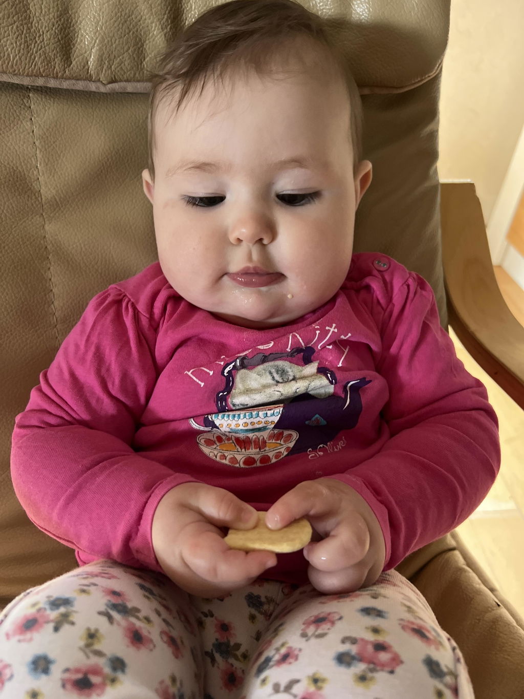 FruchtBar Bio Kekse biscuits bébé épeautre pomme pièce dès 8 mois