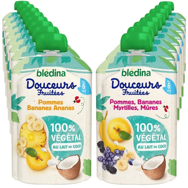 Blédina Douceurs Fruitées gourde 6 mois 16x90g 2 parfums