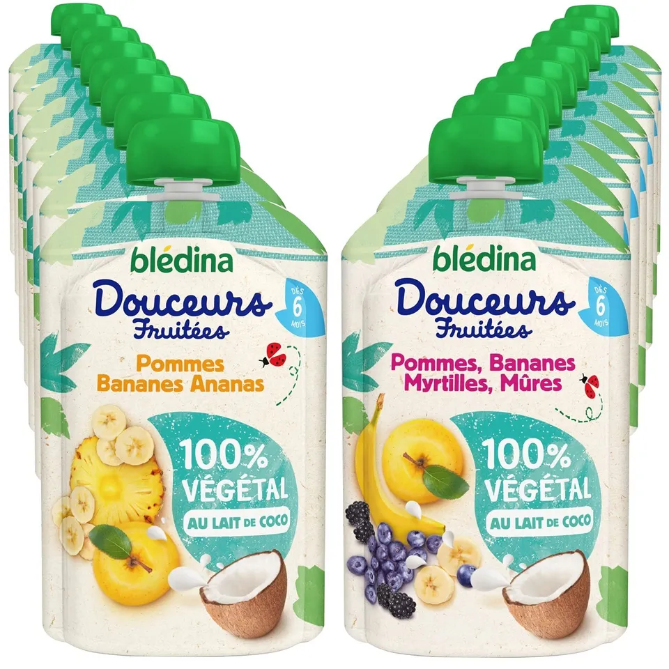 Blédina Douceurs Fruitées gourde 6 mois 16x90g 2 parfums