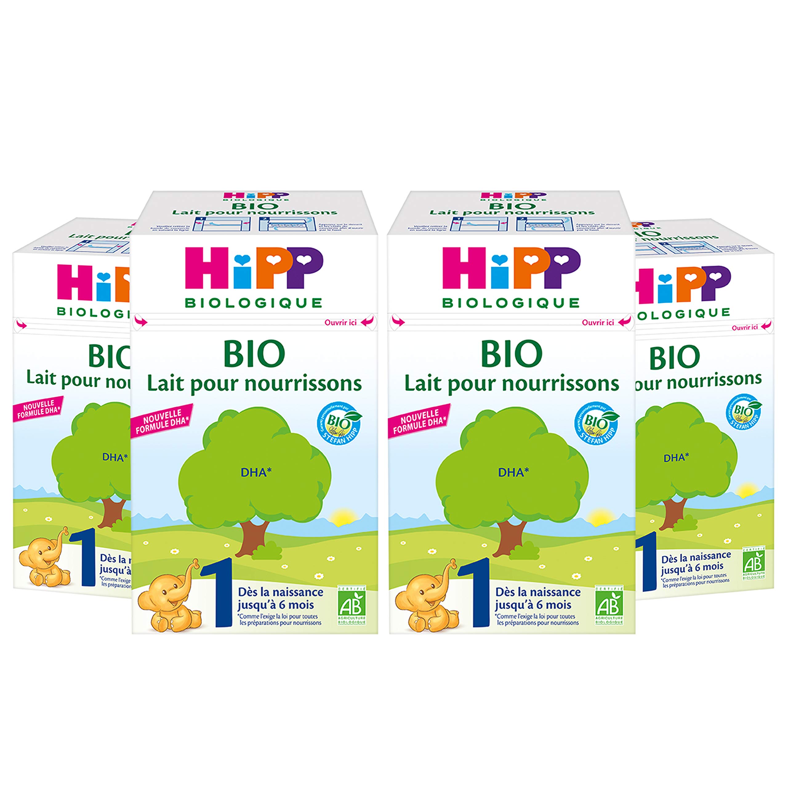 HiPP Biologique Laits de suite Lait 1 Bio 600 g Lot 4
