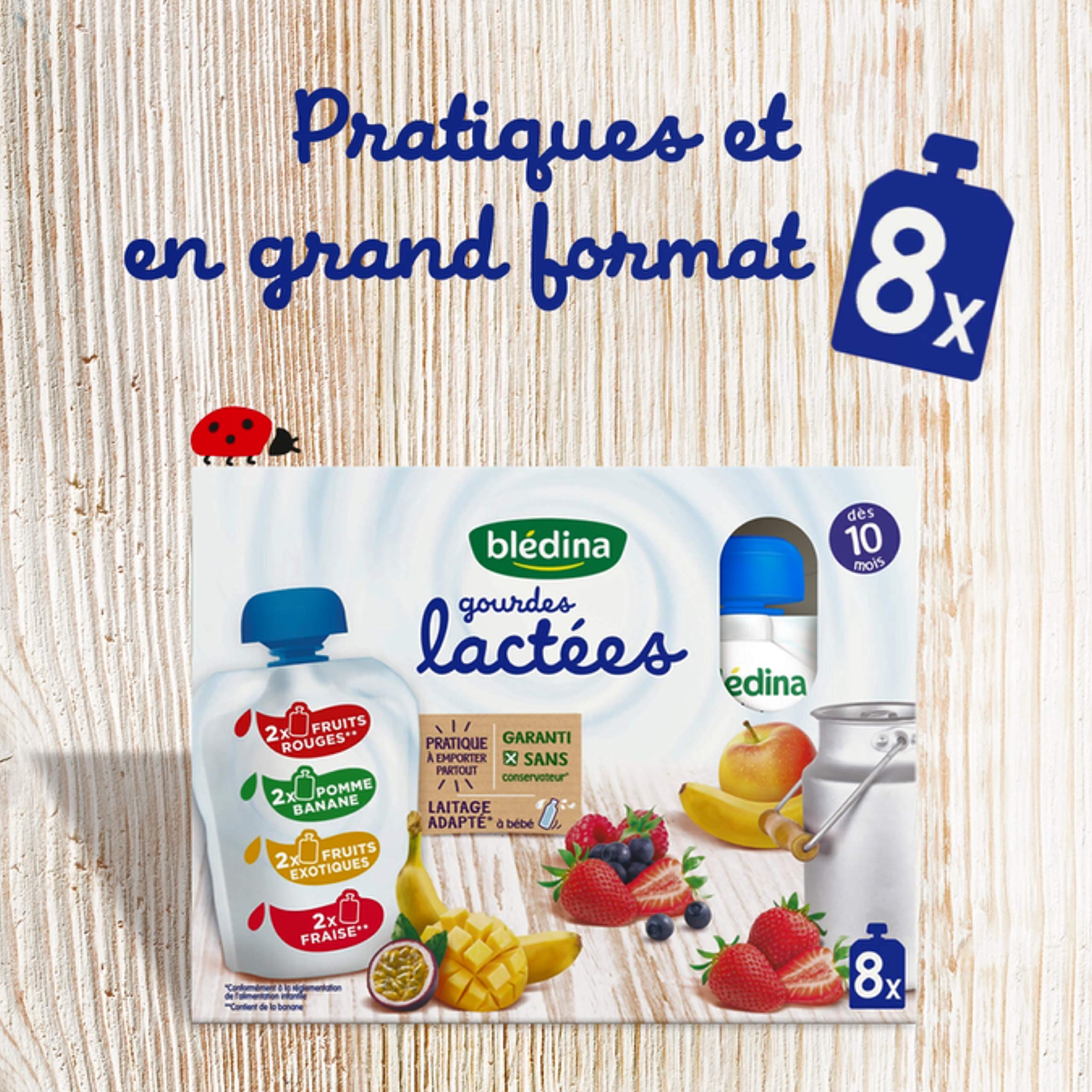Blédina Blédine Fruits gourdes lactées 10 mois 32x85g 4 parfums