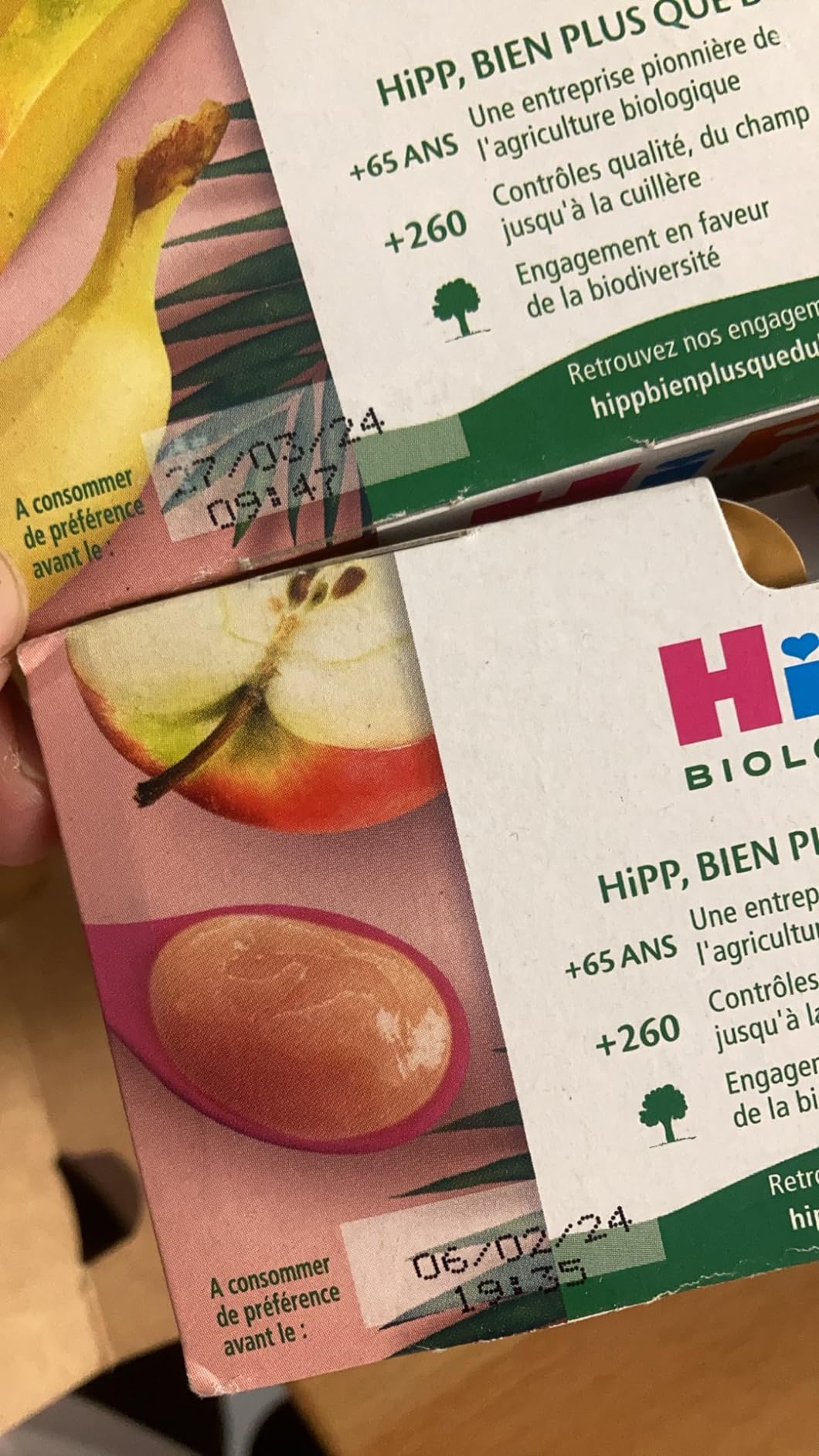 HiPP Fruits en coupelles Bananes Poires Mangues 4x100g bio