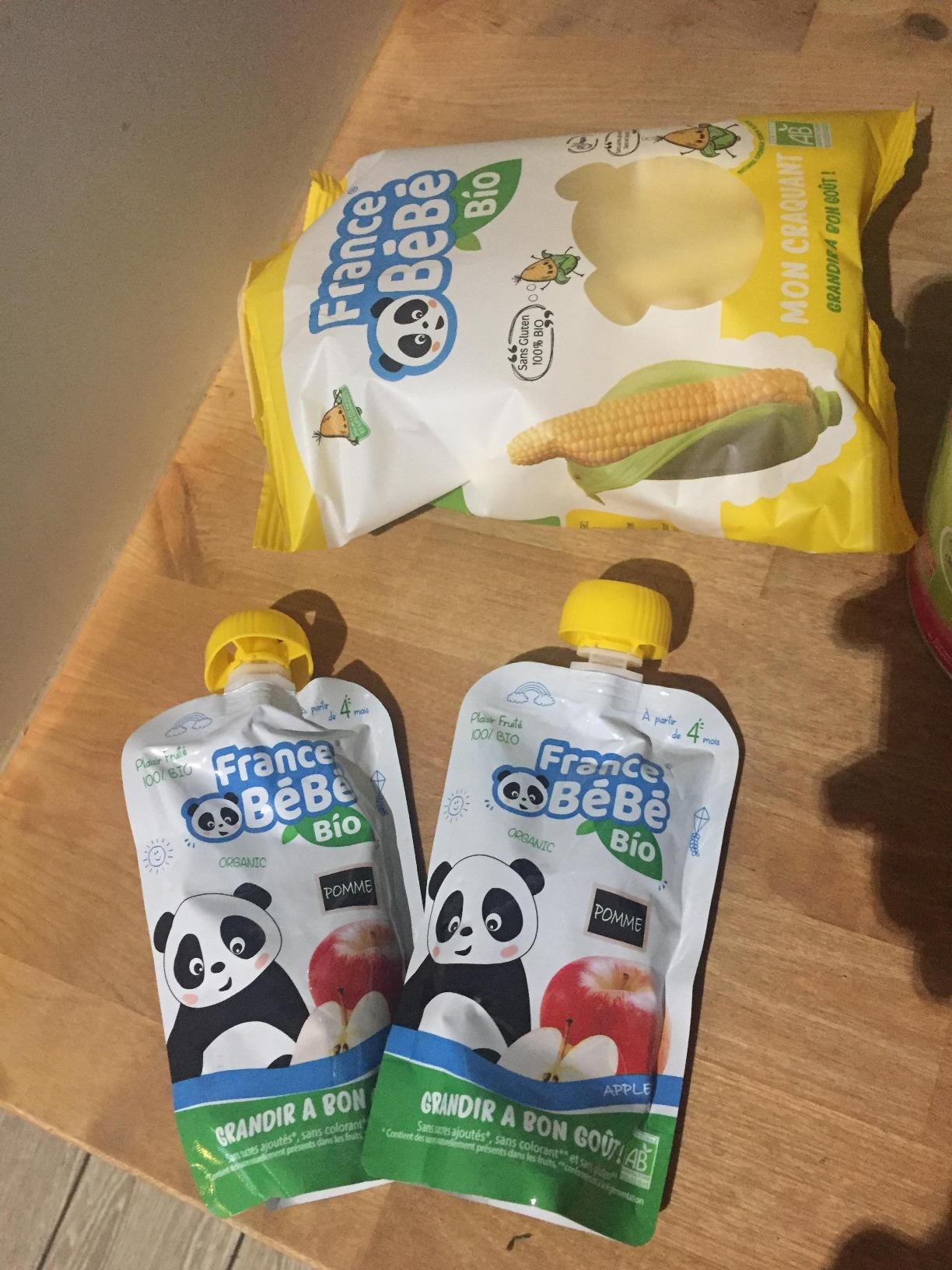 France Bébé Gourdes compote Pomme bio 10x100g dès 4 mois