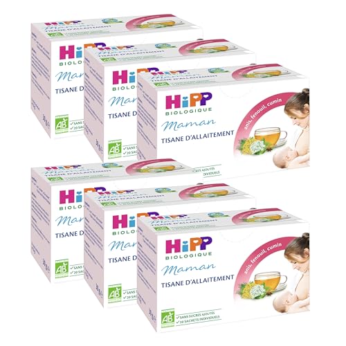 HiPP Tisane Allaitement Maman Fenouil Anis 20 Sachets x6 Bio