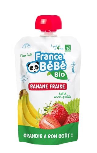France Bébé Gourdes compote banane fraise bio 12x100g 4 mois