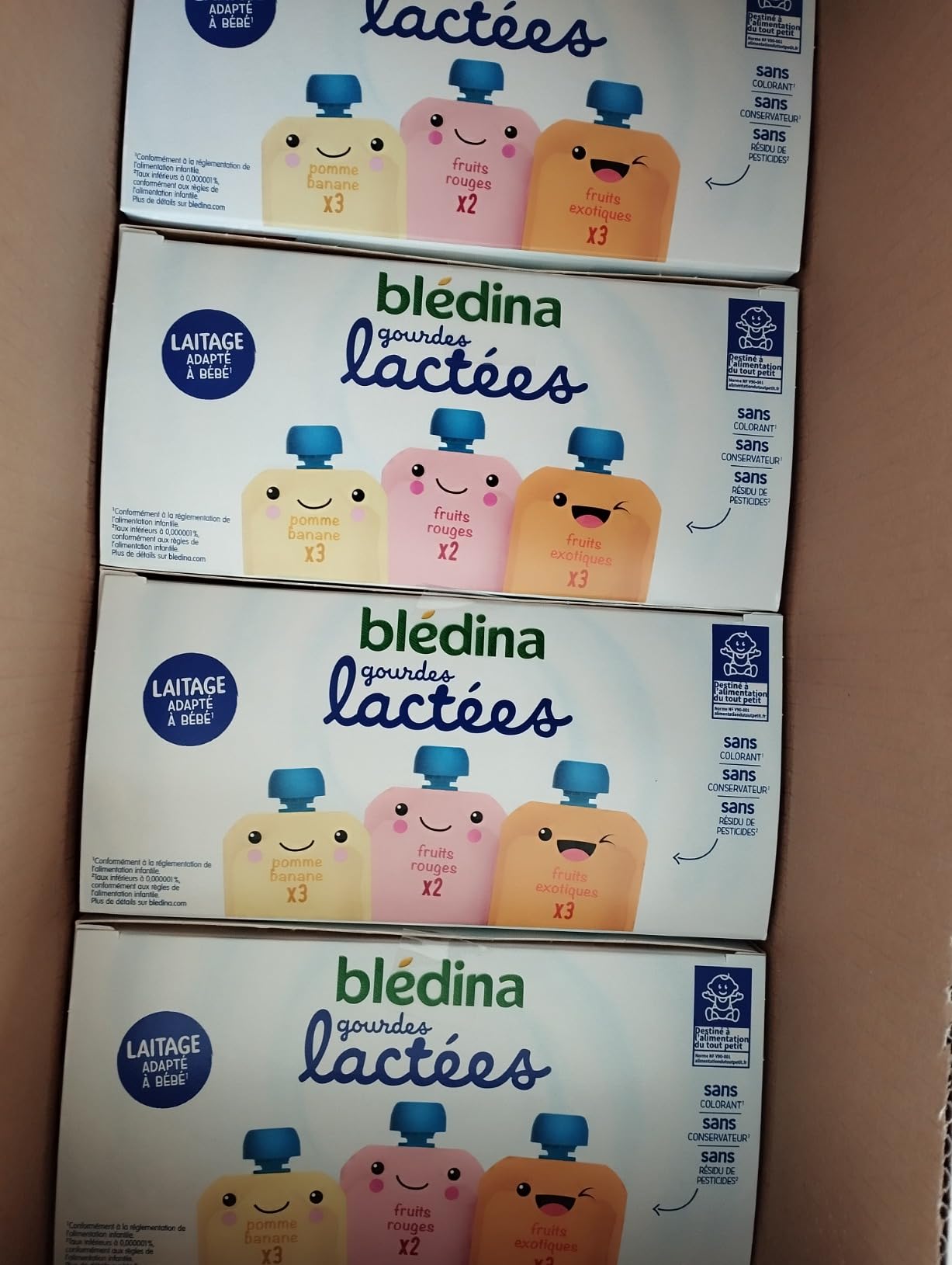 Blédina Blédine Fruits gourdes lactées 10 mois 32x85g 4 parfums