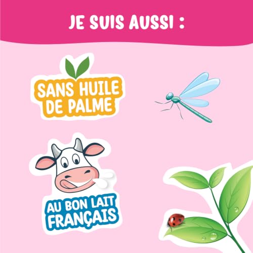 France Bébé Bio lait 2ème âge en poudre 800g sans huile de palme