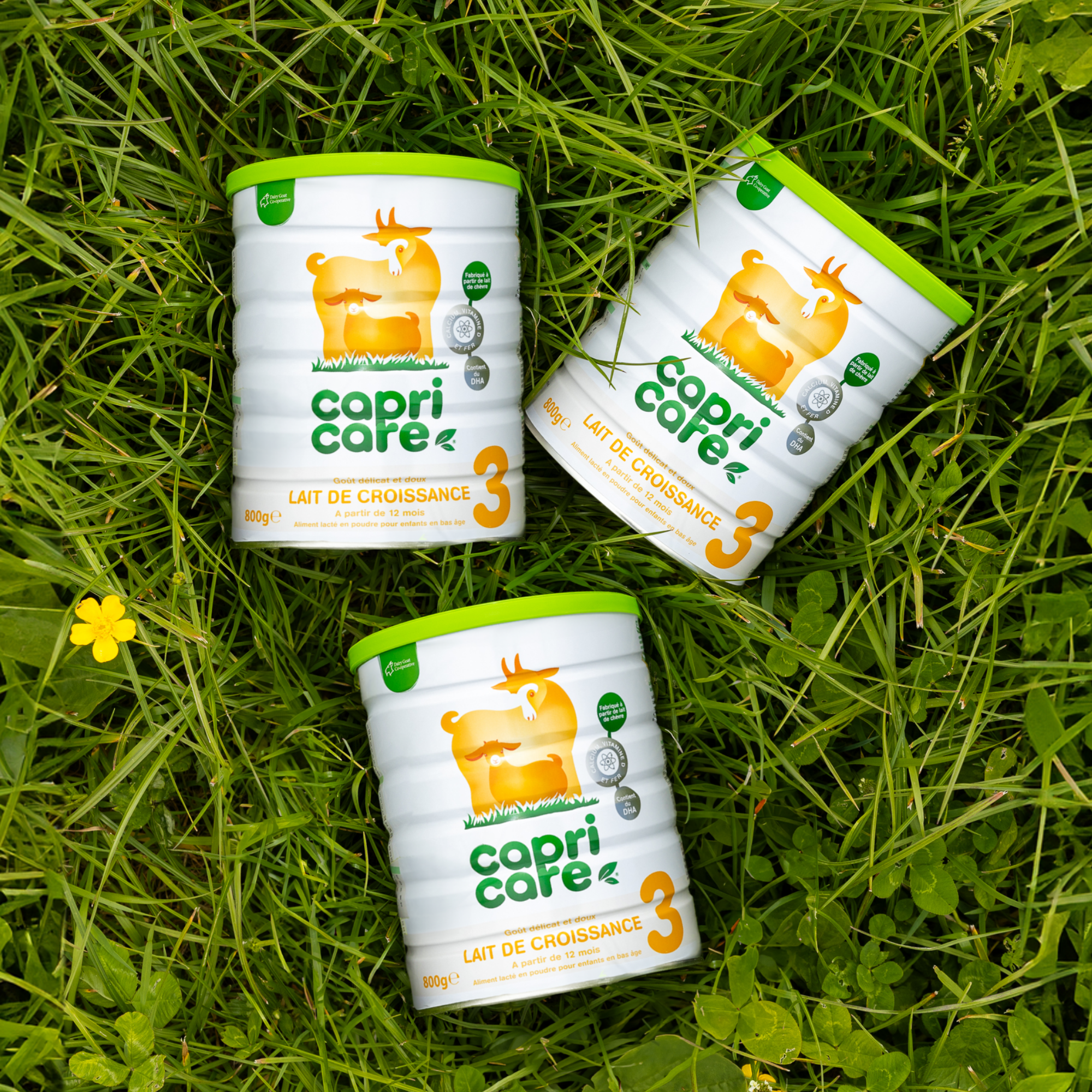 PediAct Capricare 3ème âge lait de chèvre 3x800g