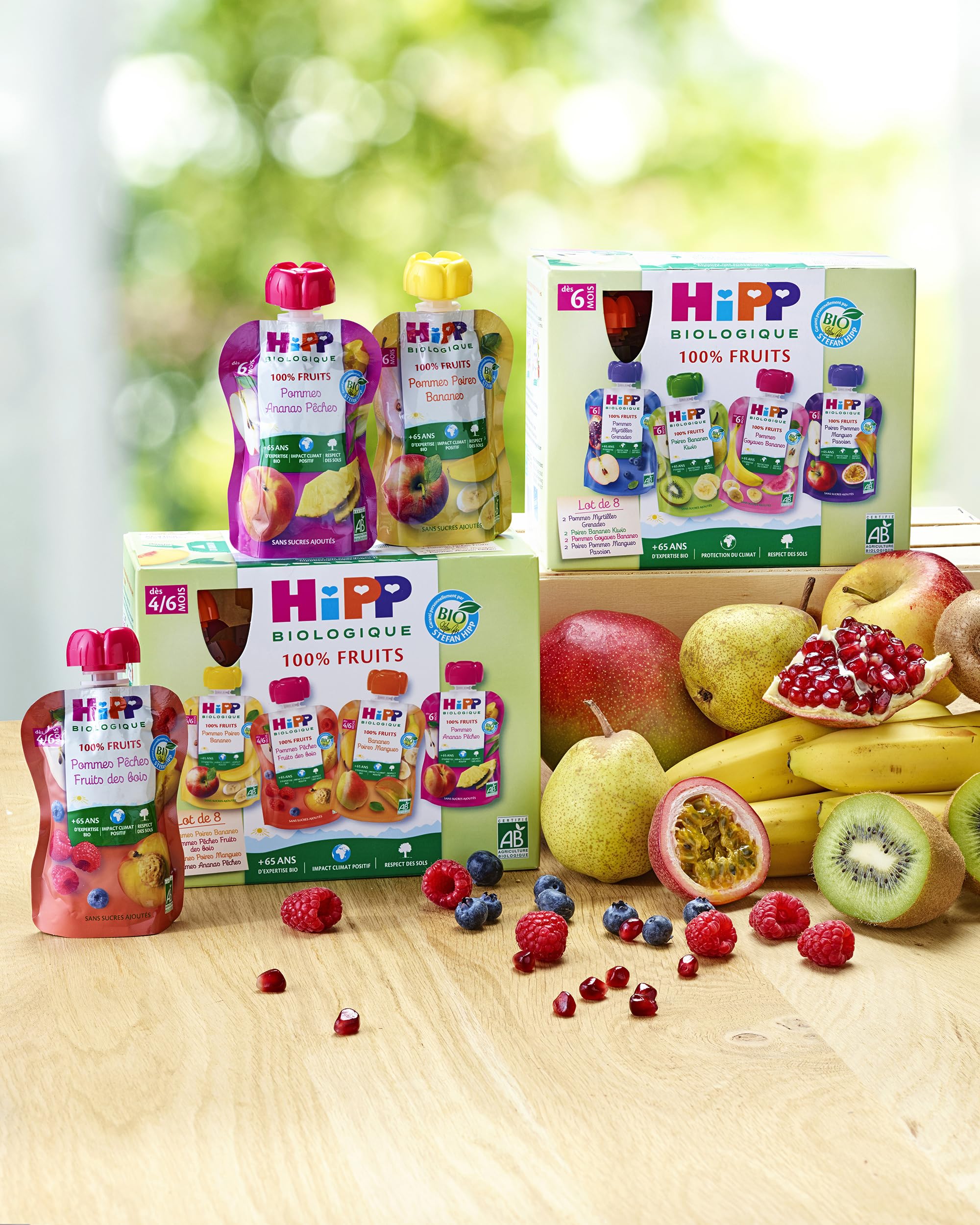 HiPP Fruits en gourdes pomme pêche fruits des bois 6x90g bio