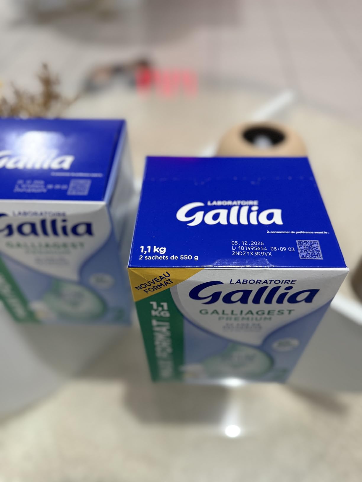 Gallia Galliagest Premium 2 Lait Poudre 1,1 kg Lot 3