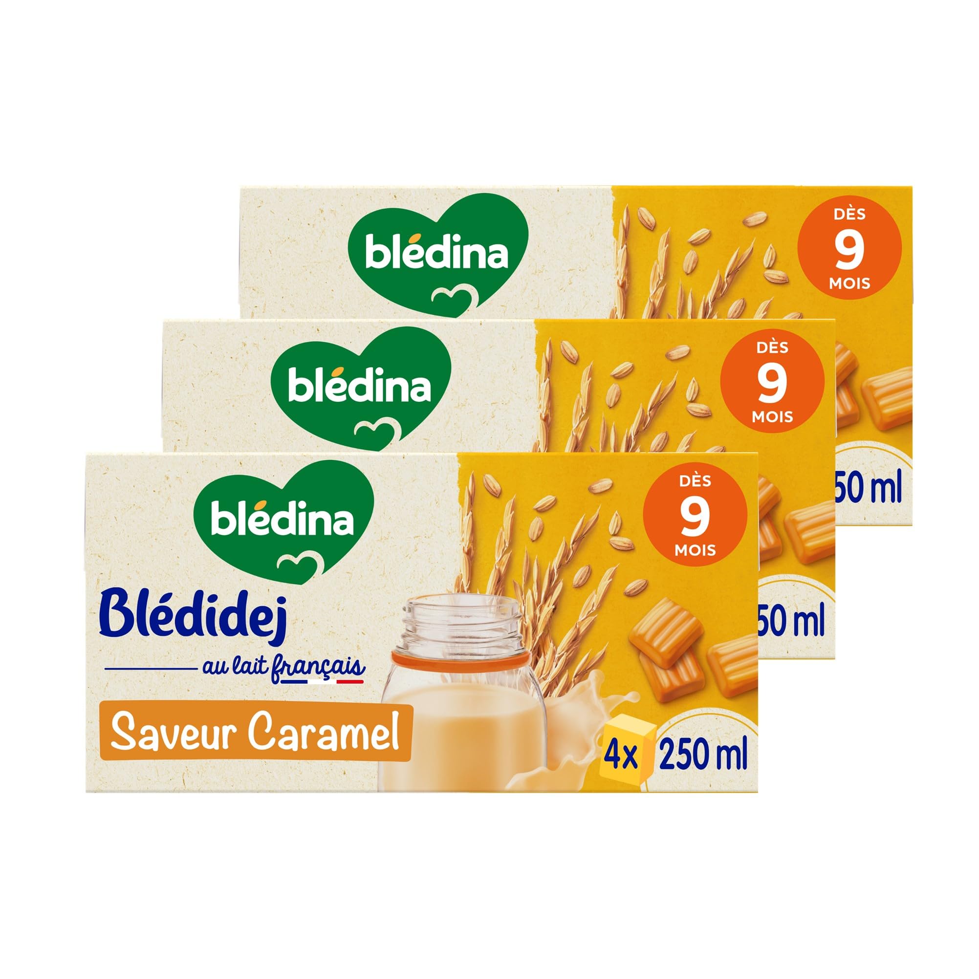 Blédina Blédidej Madeleine céréales lactées 9 mois 12x250ml