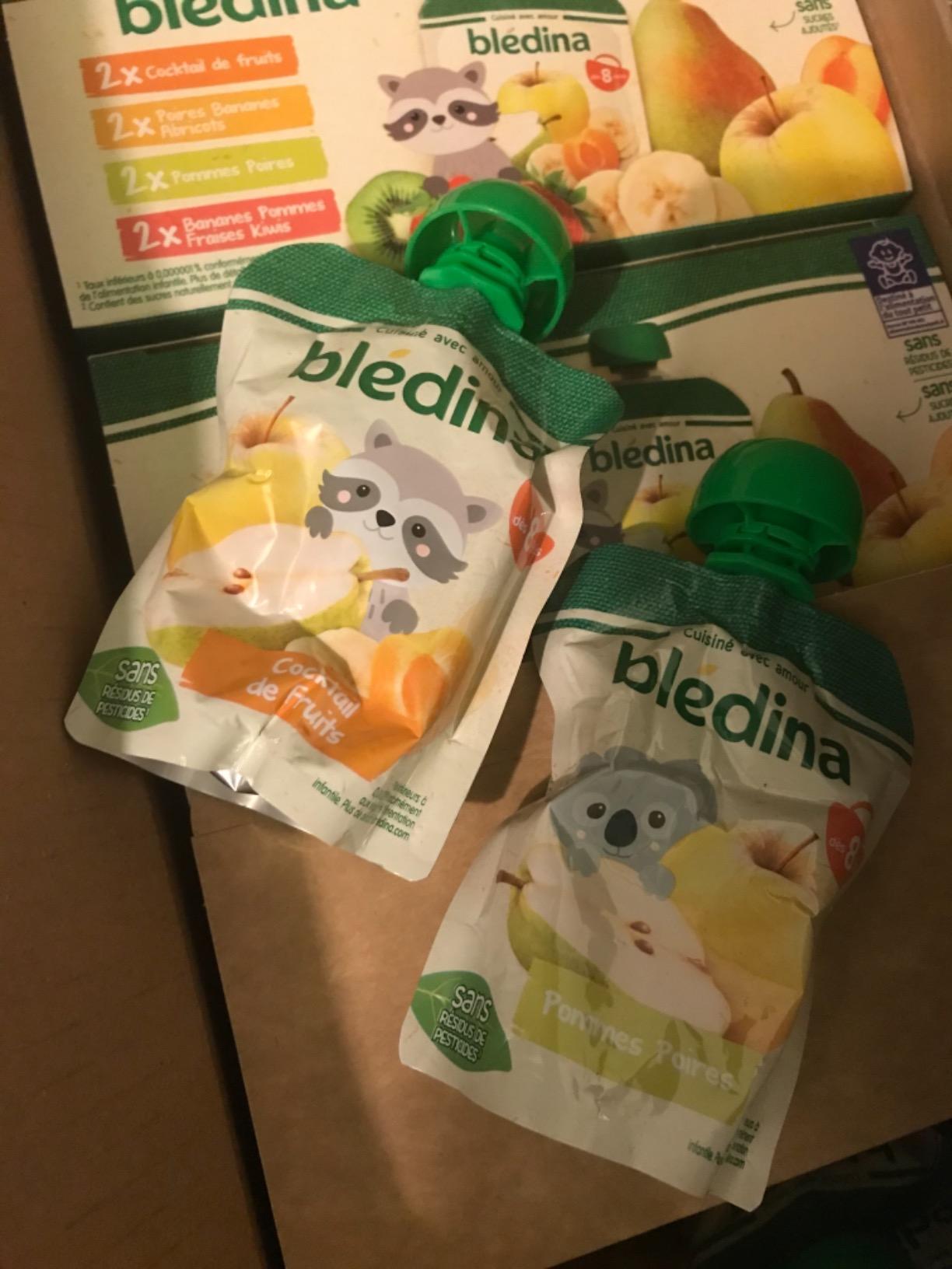 Blédina Gourdes Purées Fruits Cocktail 8 Mois 90g x32 sans Sucres