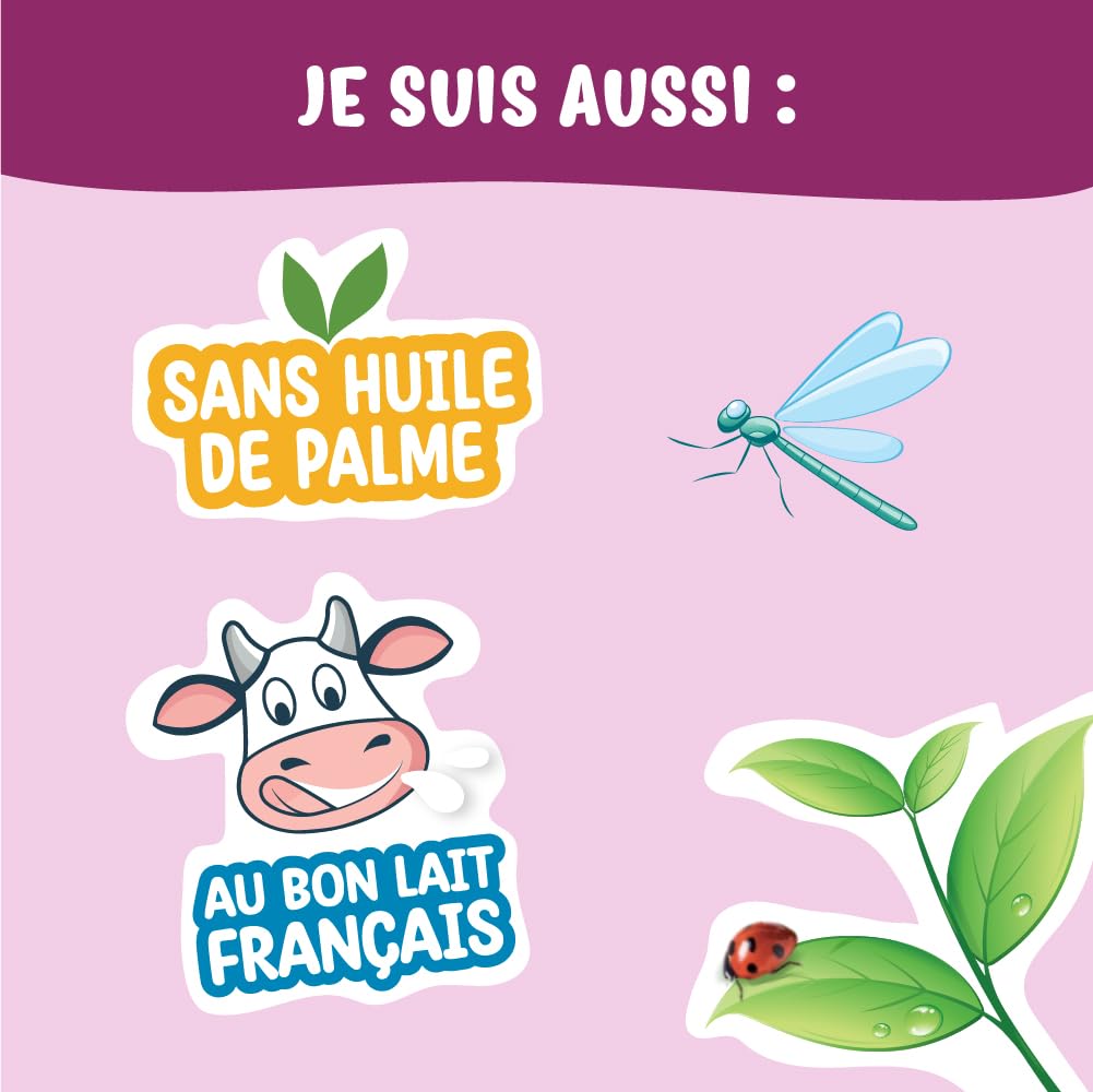France Bébé Bio lait croissance 3ème âge 3x800g