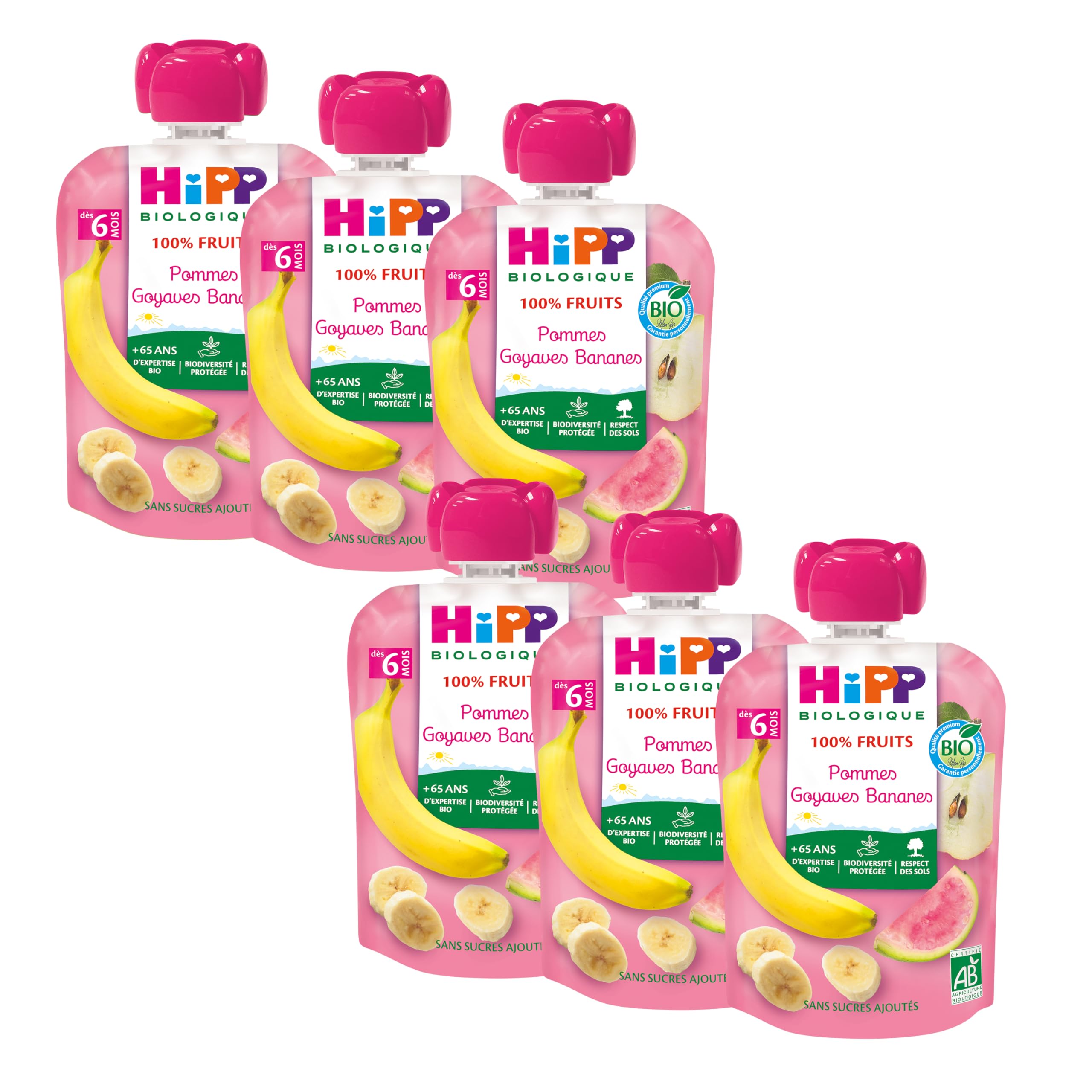 HIPP Fruits en gourdes compotes poires bananes kiwis 6x90g