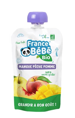 France Bébé Gourdes Compote Mangue Pêche Pomme 10x100g