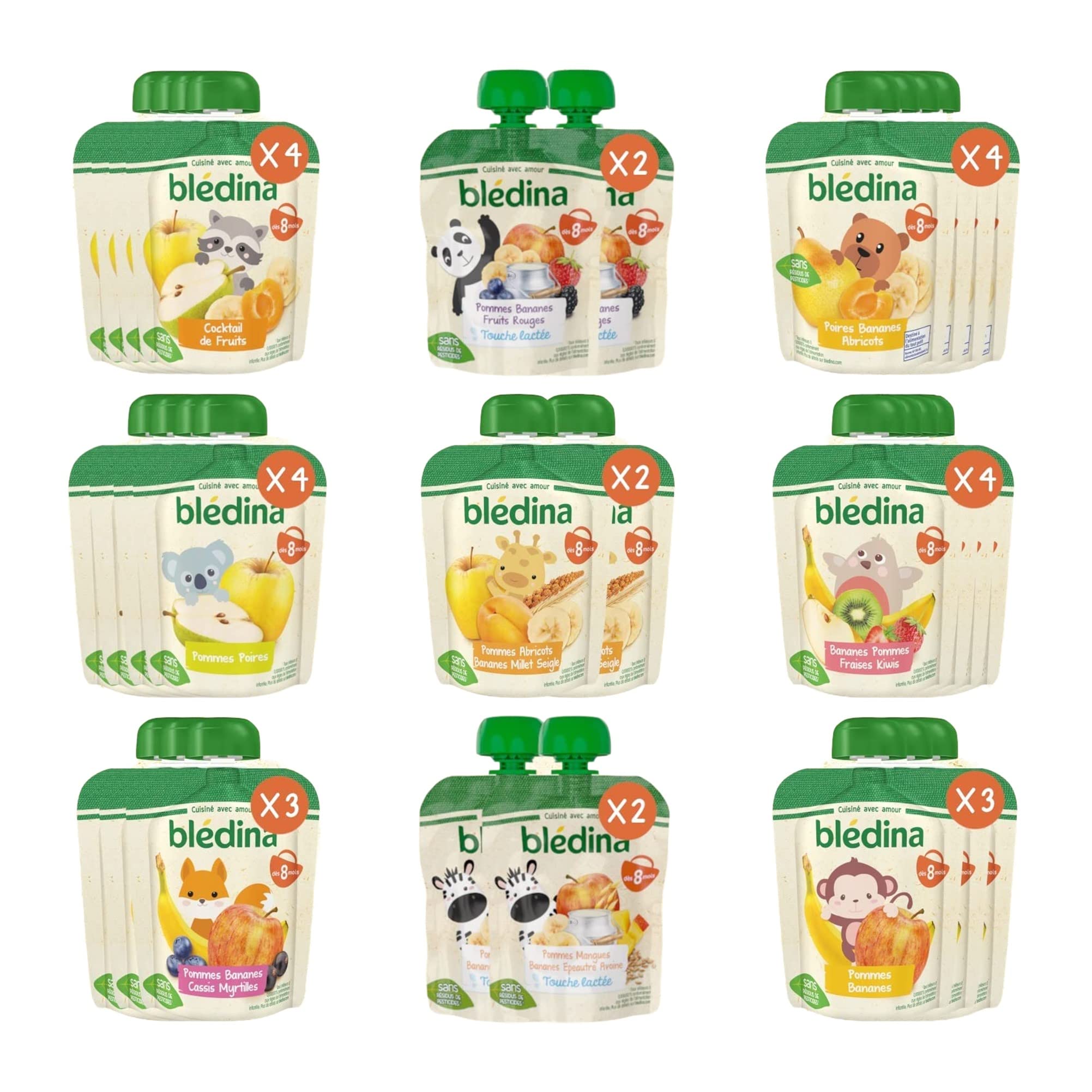 Gallia Blédine gourdes fruits bébé 8 mois 28x90g variétés