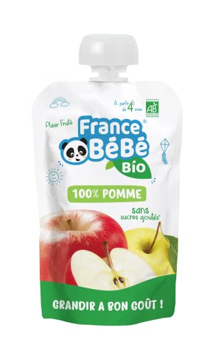France Bébé Gourdes compote Pomme bio 10x100g dès 4 mois