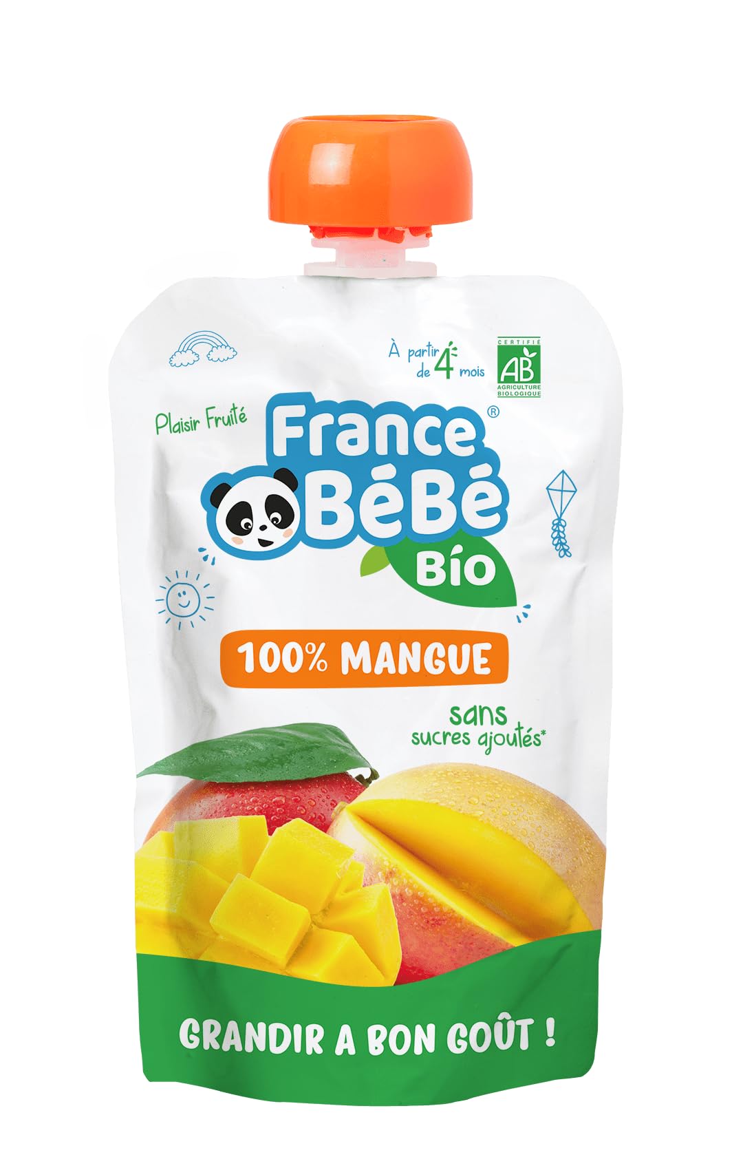 France Bébé Gourdes compote mangue bio 4 mois 10x100g