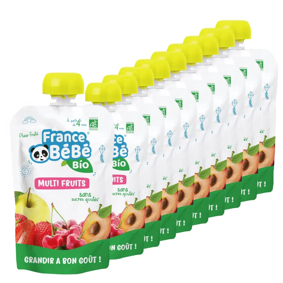 France Bébé Gourdes compote multi-fruits bio 12x100g dès 4 mois