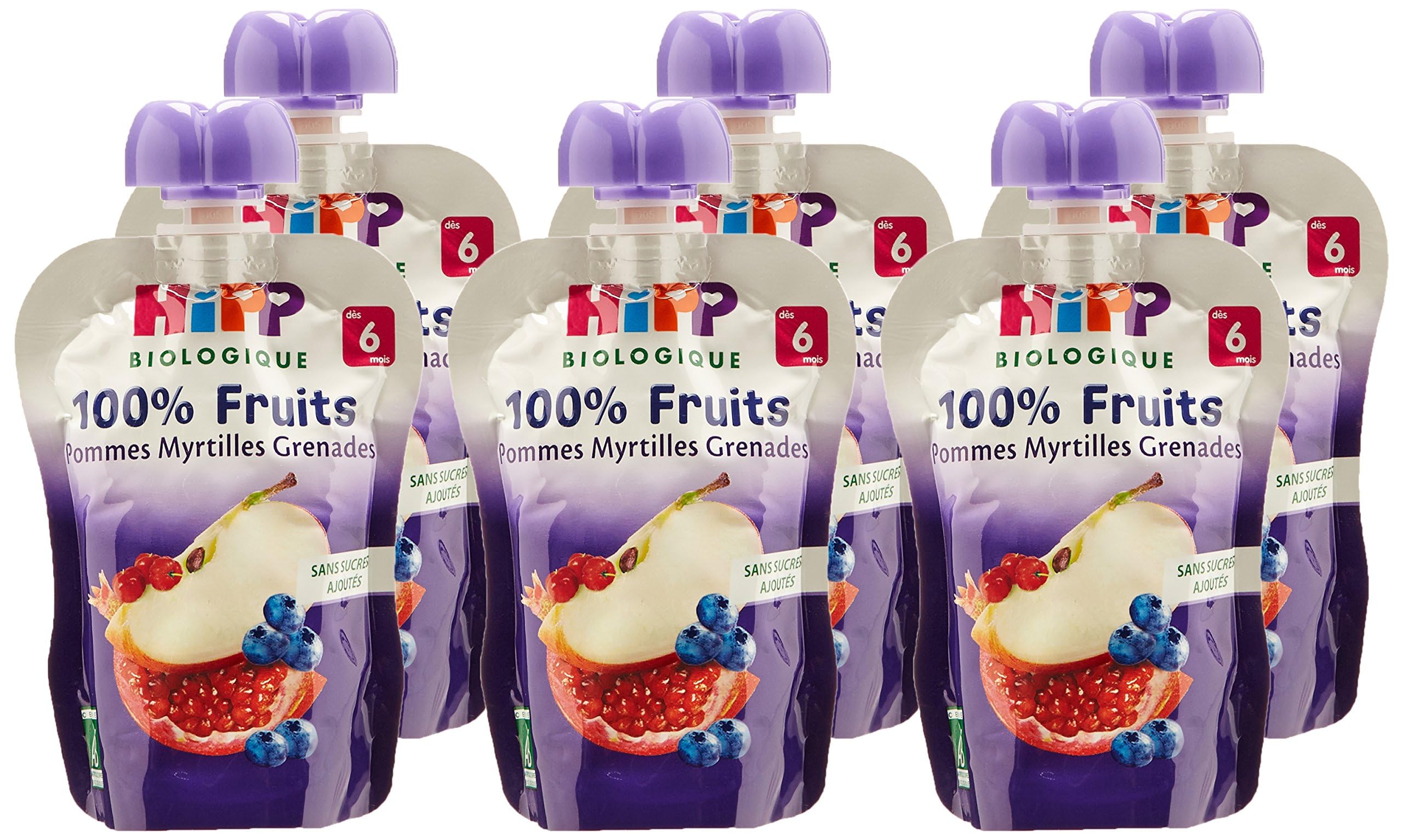 HIPP Fruits en gourdes compotes poires bananes kiwis 6x90g