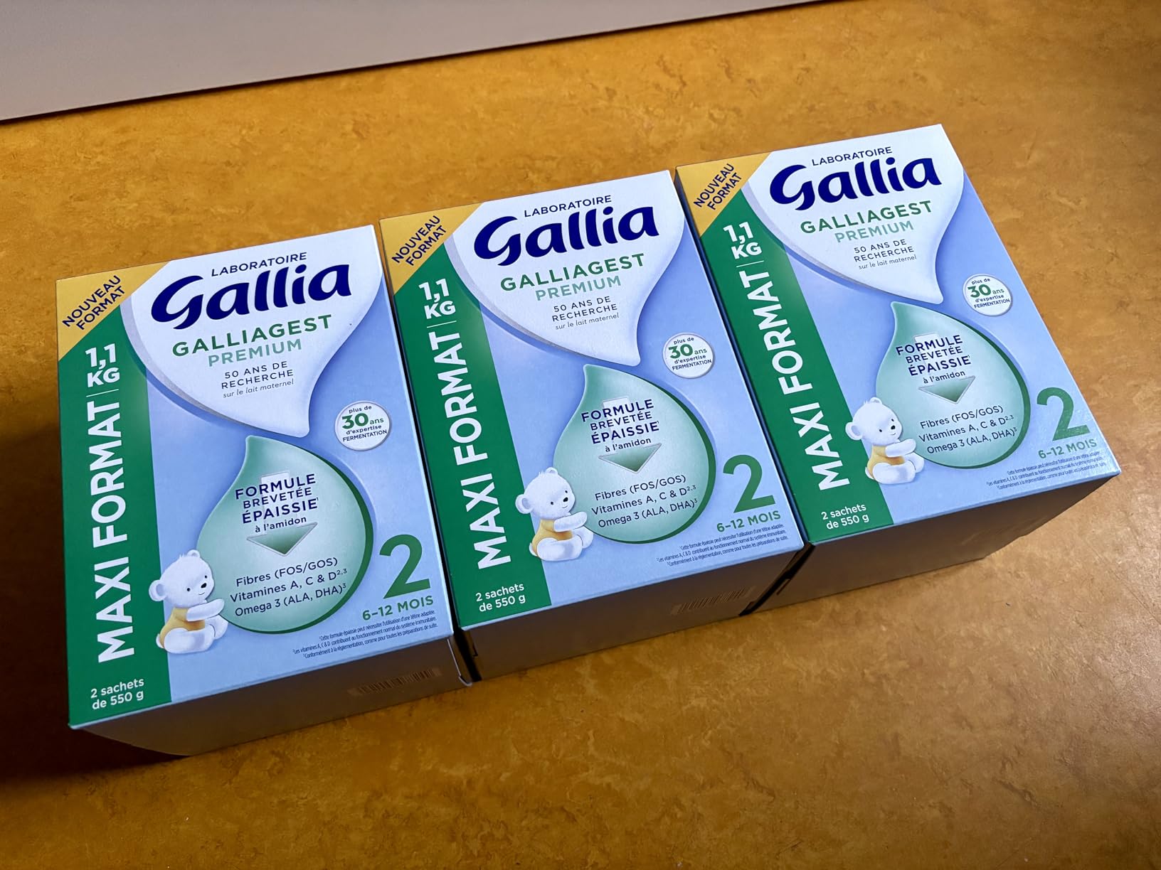 Gallia Galliagest Premium 2 Lait Poudre 1,1 kg Lot 3