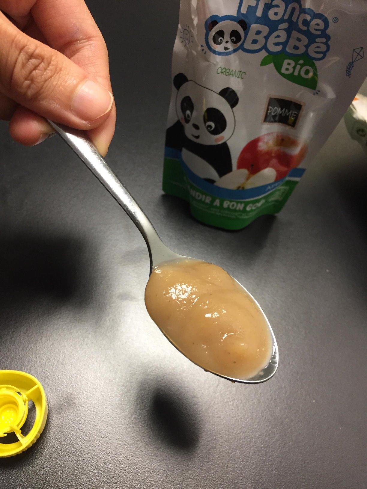 France Bébé Gourdes compote Pomme bio 10x100g dès 4 mois