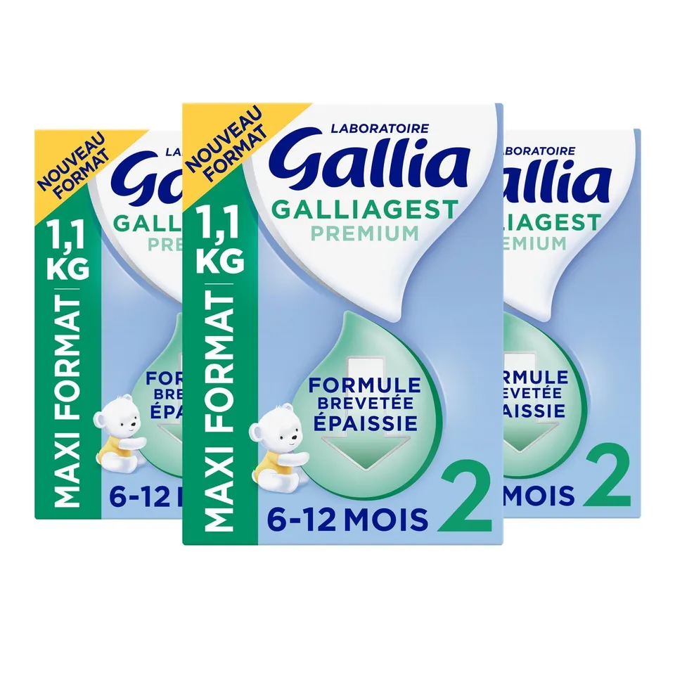 Gallia Galliagest Premium 2 Lait Poudre 1,1 kg Lot 3