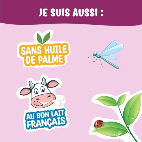 France Bébé Bio lait croissance 3ème âge 3x800g