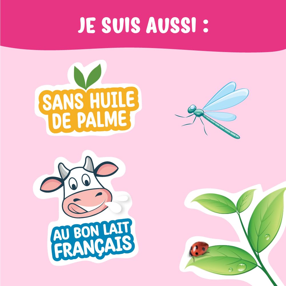 France Bébé Bio lait 2ème âge en poudre 800g sans huile de palme