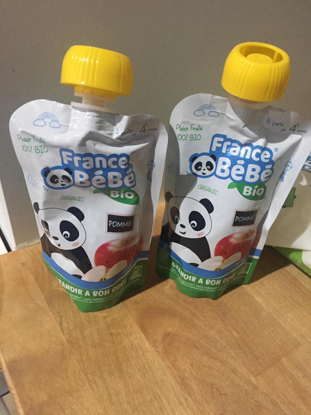 France Bébé Gourdes compote Pomme bio 10x100g dès 4 mois