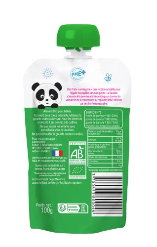 France Bébé Gourdes compote Pomme Banane Carotte 10x100g