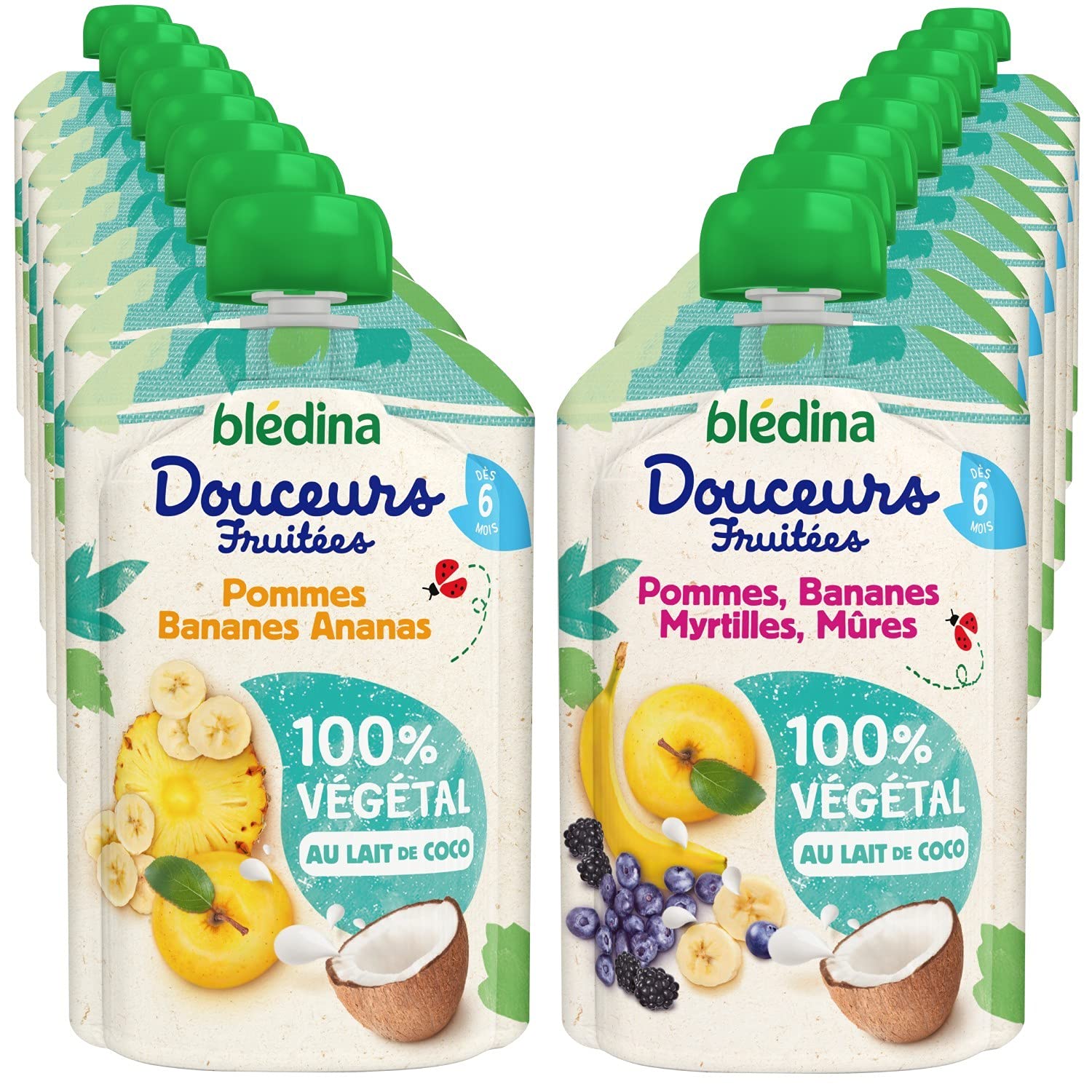 Blédina Douceurs Fruitées gourde 6 mois 16x90g 2 parfums