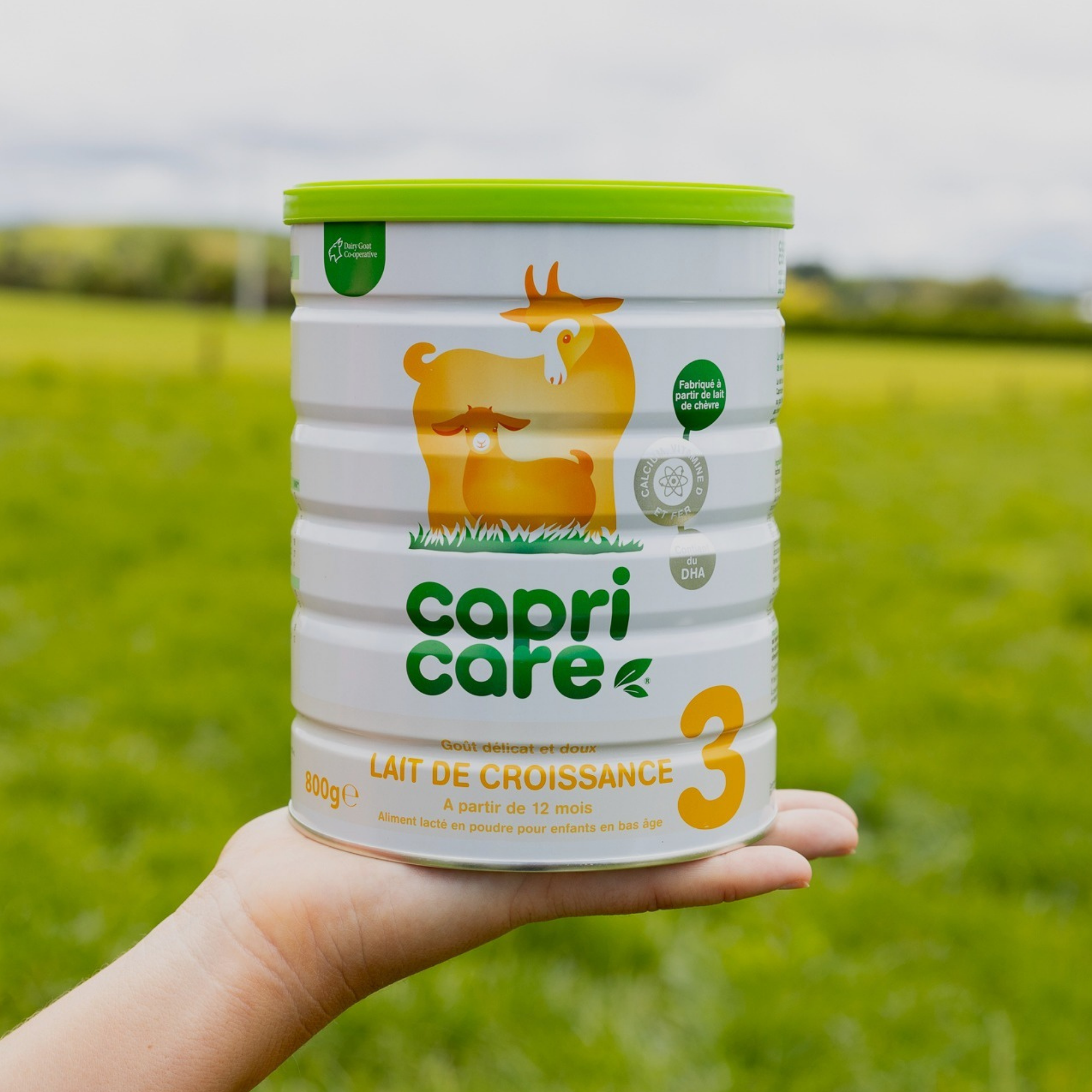 PediAct Capricare 3ème âge lait de croissance 800g