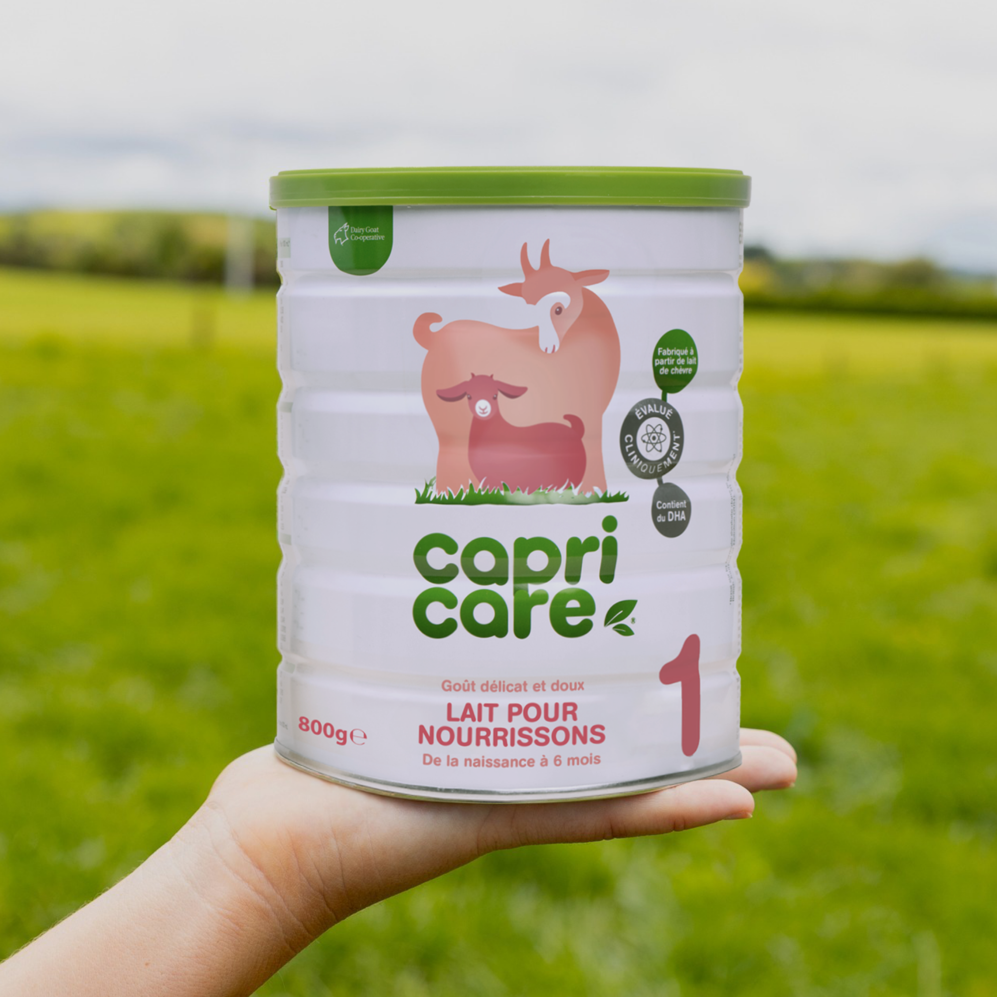 PediAct Capricare 1er Âge 800g lait chèvre naissance