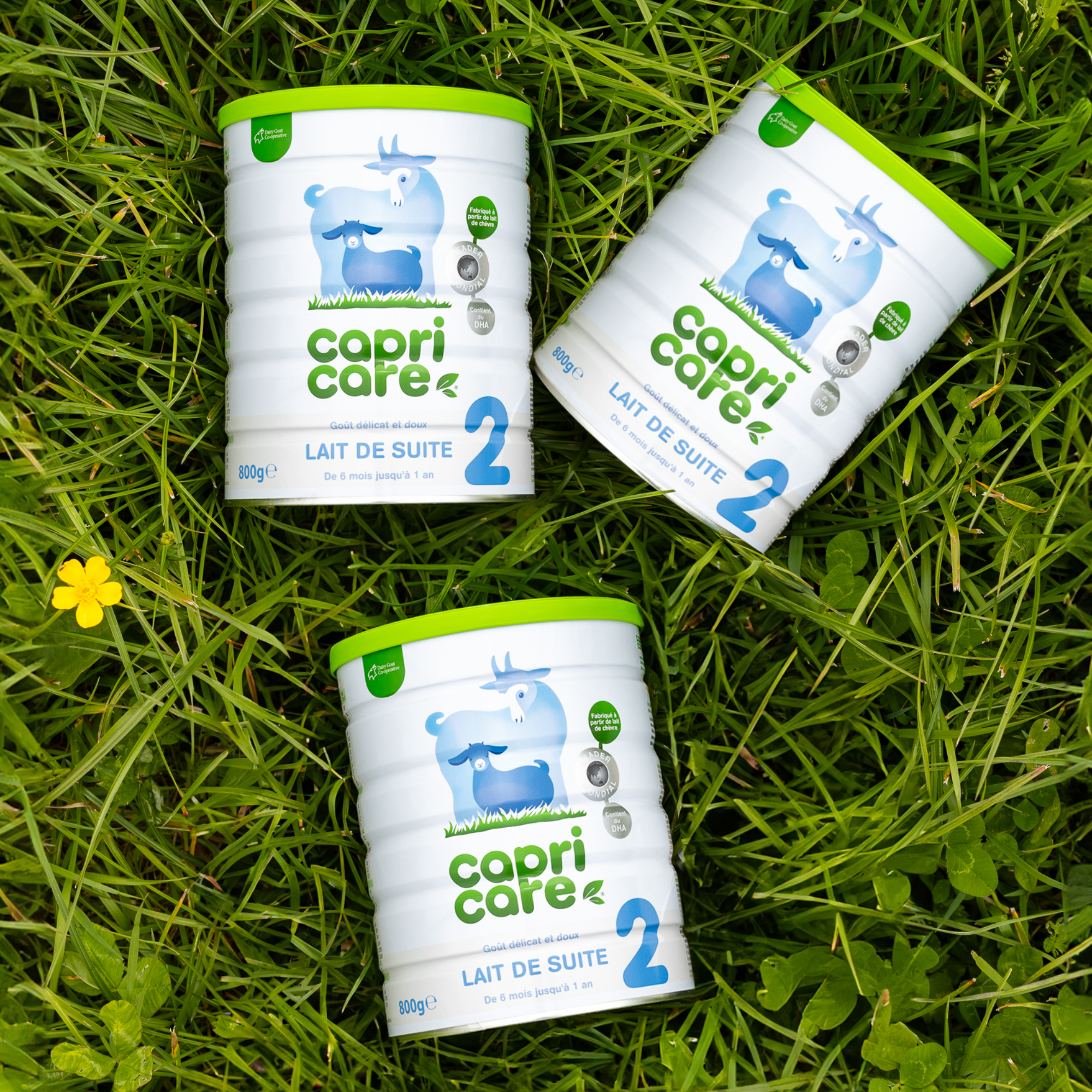 PediAct Capricare 2ème Âge 800g lait chèvre lot 3