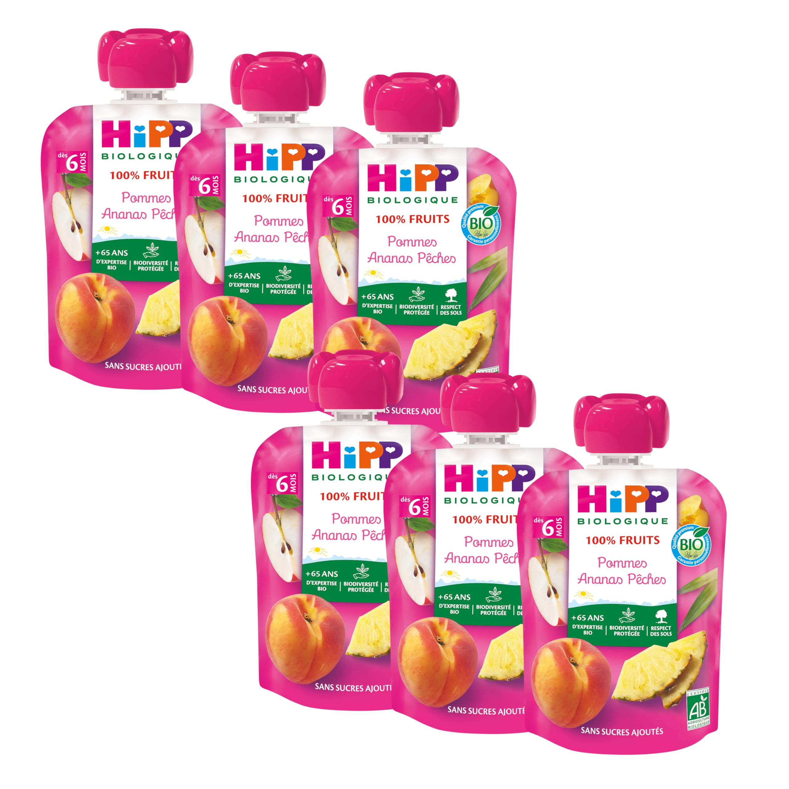 HIPP Fruits en gourdes compotes poires bananes kiwis 6x90g